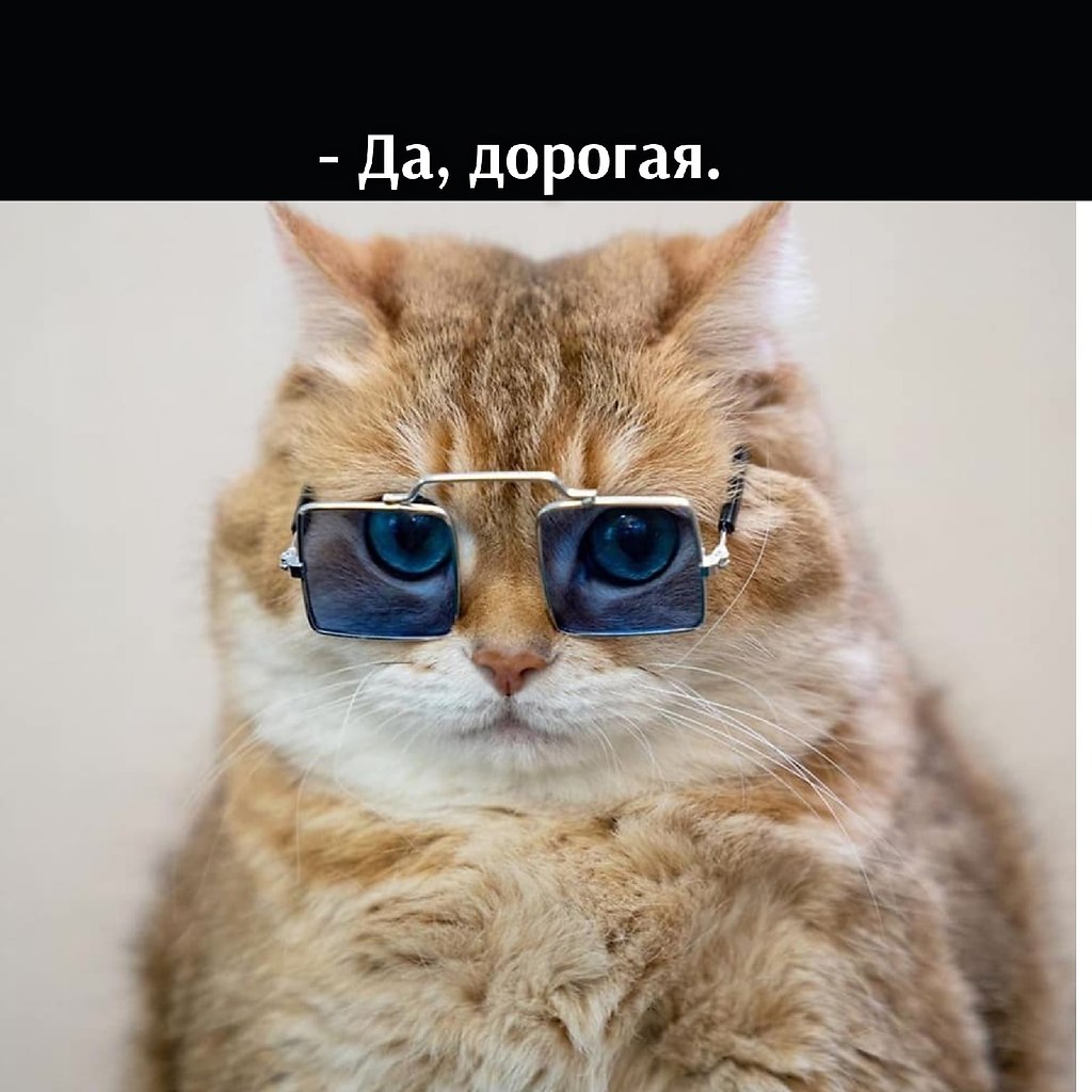 ��� ���� � ����� �� �� - 18 ������� 2025 � 11:03 - 2