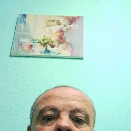 , 54, 