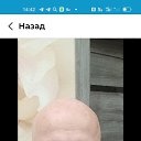 ���� ����, ������������, 56 ��� - ��������� 21 ������� 2025 � ������ ���� ����������