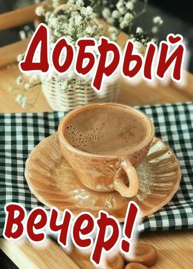   ,    . - 15  2025  19:32
