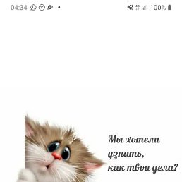 ����, ������, 30 ���