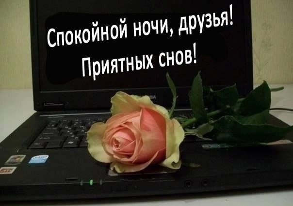   ,    . - 21  2025  20:59 - 3