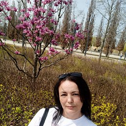 , 43, 