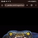 ���� ��������, ������-��-����, 47 ��� - ��������� 9 �������� 2025 � ������ ���� ����������