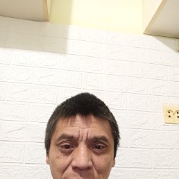 , 52, 