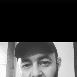 , 34, 