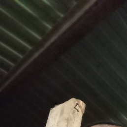 ���������, �����������, 36 ���