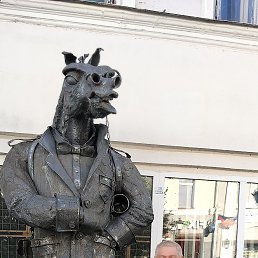 , 56 , 