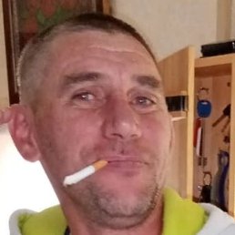 ����, �����������, 44 ����