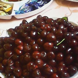 Safar, �����������, 47 ���