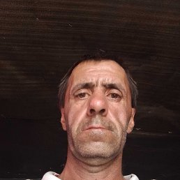  , 41 , 