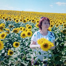 ������, ������������, 59 ���