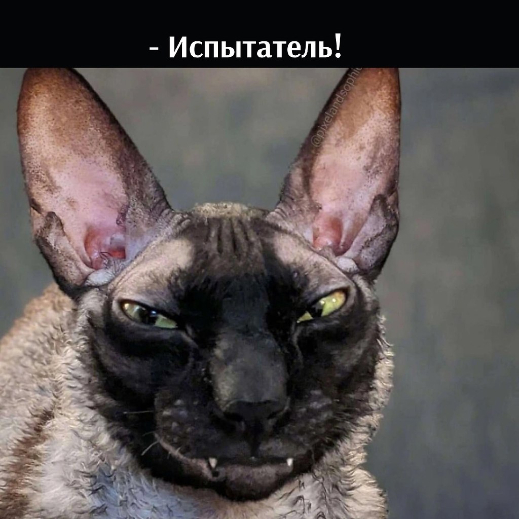       - 7  2025  16:58 - 2