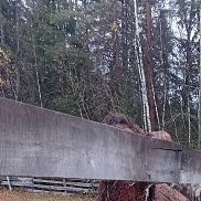 ����, 48 ���, ������