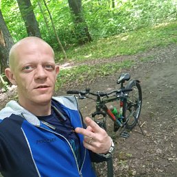 , 33, 