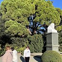 ���� �������, �������, 65 ��� - ��������� 7 ������� 2024 � ������ ���� ����������