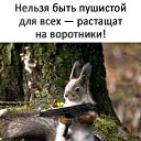 ���� �����, ����������� - ��������� 11 ������ 2026 � ������ ������ ��������