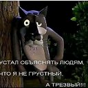 ���� �����, ������, 48 ��� - ��������� 16 ������� 2023 � ������ ���� ����������