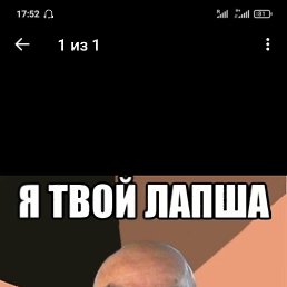 �������, 39 ���, ������