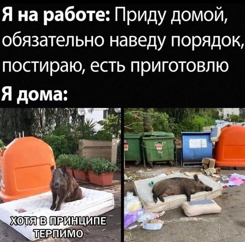   - 18  2025  19:34