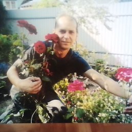 �����, 40 ���, ��������