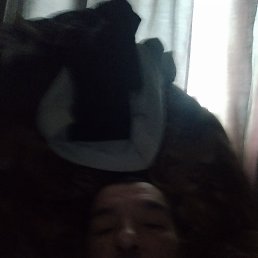 ����� �������, 46 ���, ������