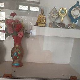 Golu Thakur, ����, 22 ����
