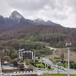 ����, ������, 43 ����