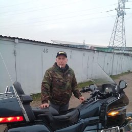 �������, ������, 54 ����