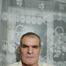 , 56, 