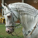 ���� ����, ������ - ��������� 18 ���� 2025 � ������ ���� ����������