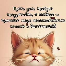 �����, ������, 62 ����