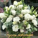 ���� ������� �� �������� ��, ��� - ��������� 30 �������� 2026 � ������ ������ ��������