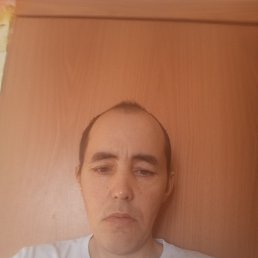 ������, 36 ���, ����