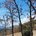 ���� �����, ����, 48 ��� - ��������� 29 ����� 2024