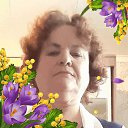 ���� ����, ��������, 66 ��� - ��������� 20 ���� 2025 � ������ ���� ����������