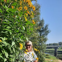 , 49, 
