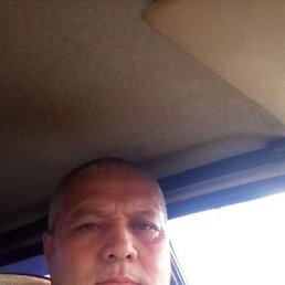 , 59 , -