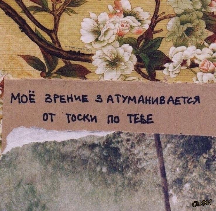 � o�e�� �oc���, � � ���c�a�� pa� �p���� �a���, �e� e�a�� �a�a�. o ��e �e ��e p��� �a��e �e �����, ...