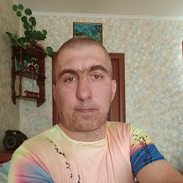 ���� ����, ����� - ��������� 28 ��� 2026