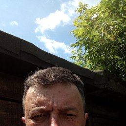  , 51,  ()