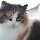 ���� �������, ������� ��������, 40 ��� - ��������� 3 ������� 2026 � ������ ����, ����, �������, �������� � ��� � ����