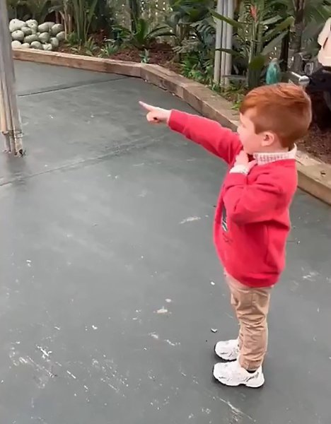 ��������� �� ������� � ���� �����. ��� ����������, ��� ������� ����� �� �������, � ���� ���������, ...