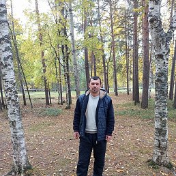 �����, ������, 41 ���