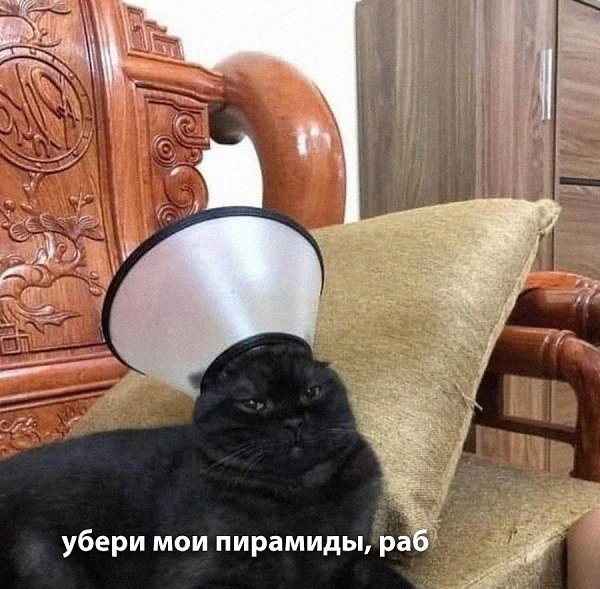    - 12  2024  16:41