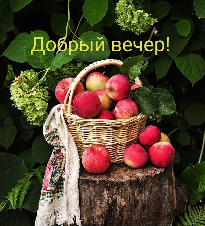   ,    . - 5  2025  15:19