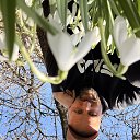 ���� ���������, �����������, 43 ���� - ��������� 21 ����� 2026