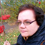 , 55 , 
