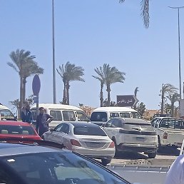 ������, ������������, 40 ���