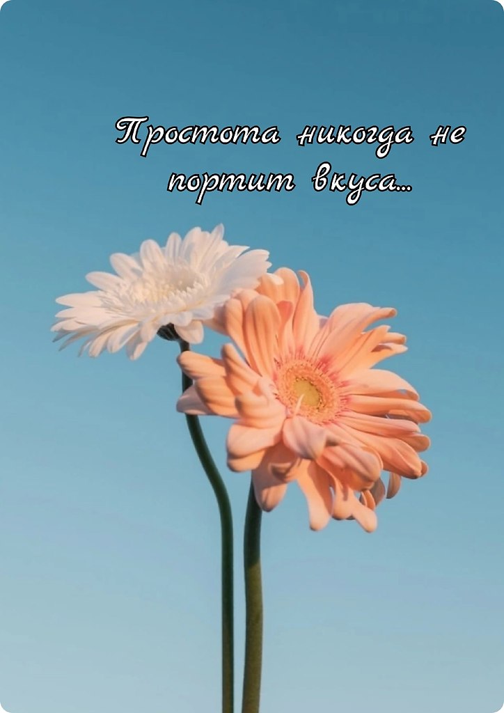   - 14  2025  13:54